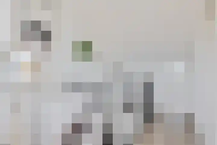 Johann Faberlaan 65 Groningen thumbnail 26