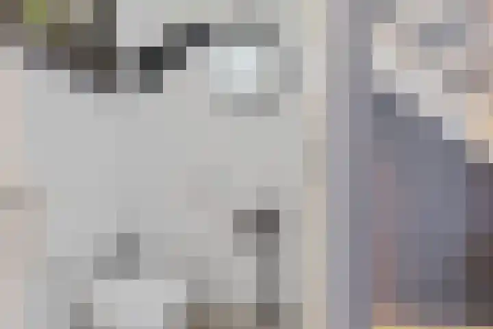 Johann Faberlaan 65 Groningen thumbnail 8