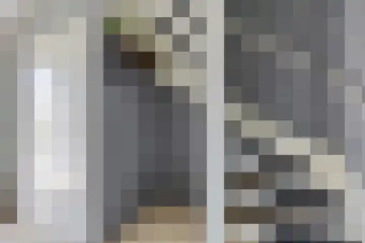 Johann Faberlaan 65 Groningen thumbnail 9