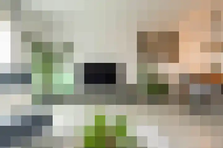 Johann Faberlaan 93 Groningen thumbnail 12
