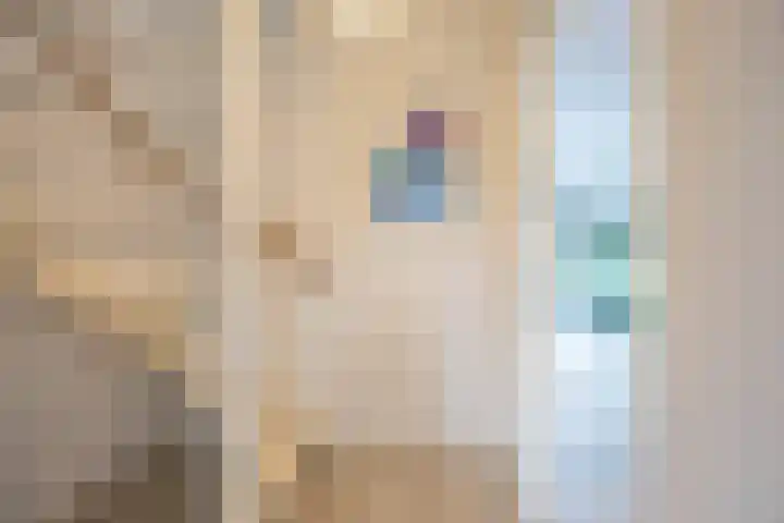 Johann Faberlaan 93 Groningen thumbnail 16