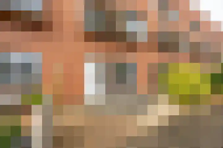 Johann Faberlaan 93 Groningen thumbnail 37