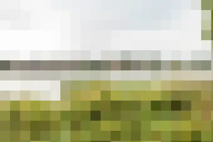 Johann Faberlaan 93 Groningen thumbnail 39