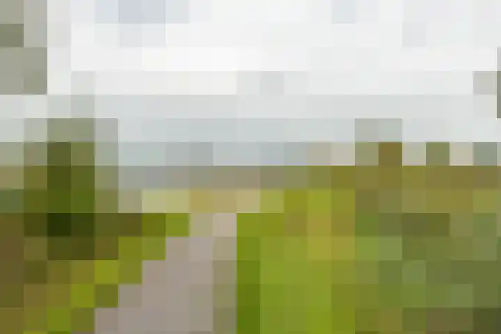 Johann Faberlaan 93 Groningen thumbnail 40