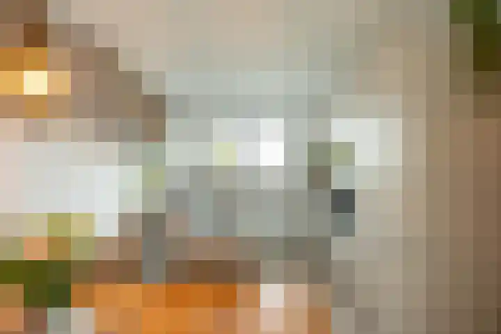 Johann Faberlaan 93 Groningen thumbnail 6