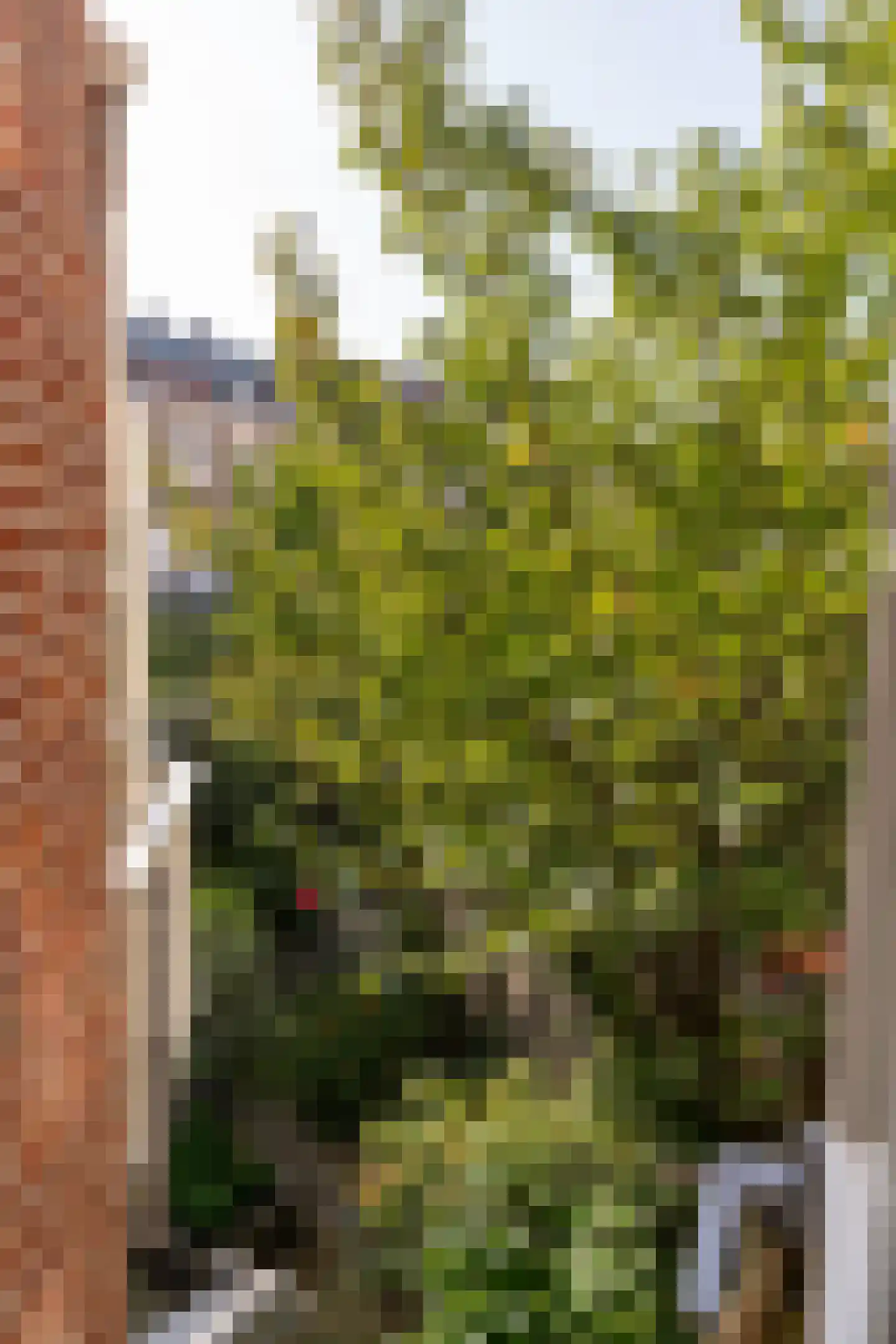 Johann Keplerstraat 48 H Amsterdam thumbnail 23