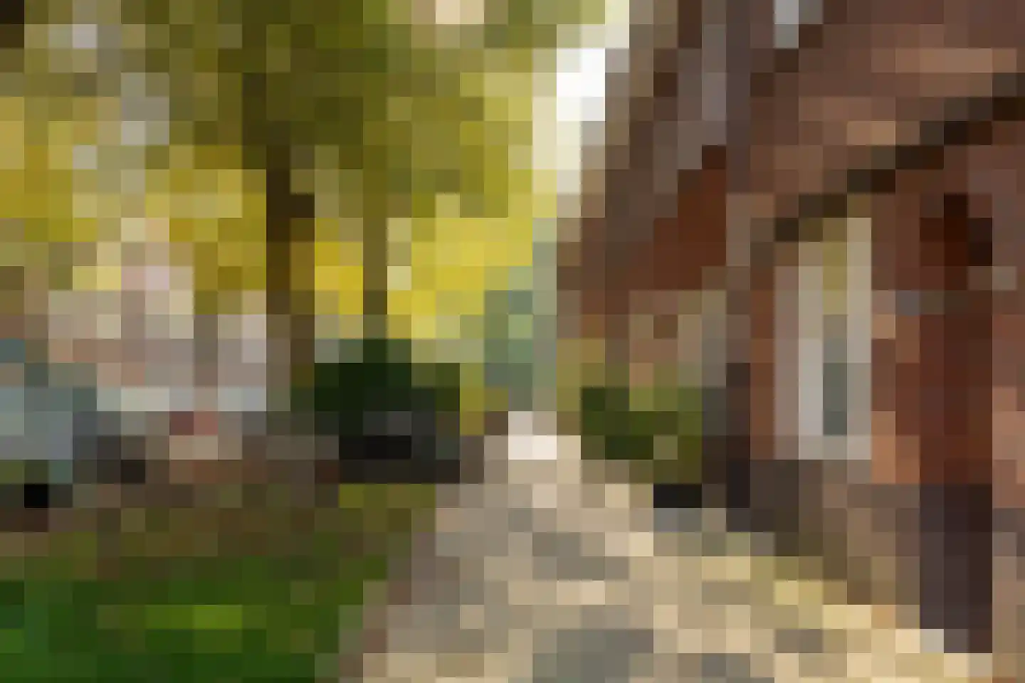 Johann Keplerstraat 48 H Amsterdam thumbnail 7