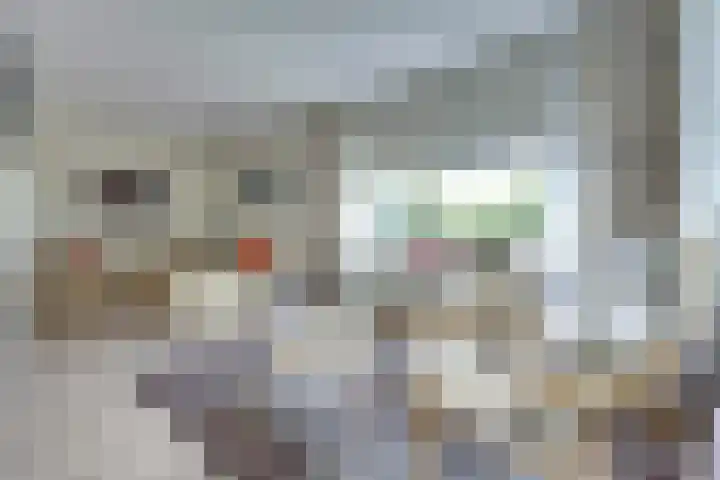 Johann Sebastian Bachstraat 5 Ridderkerk thumbnail 10