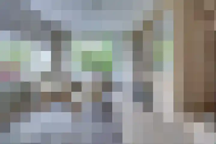 Johann Sebastian Bachstraat 5 Ridderkerk thumbnail 11