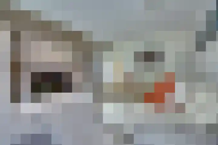 Johann Sebastian Bachstraat 5 Ridderkerk thumbnail 12