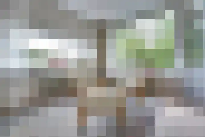Johann Sebastian Bachstraat 5 Ridderkerk thumbnail 14