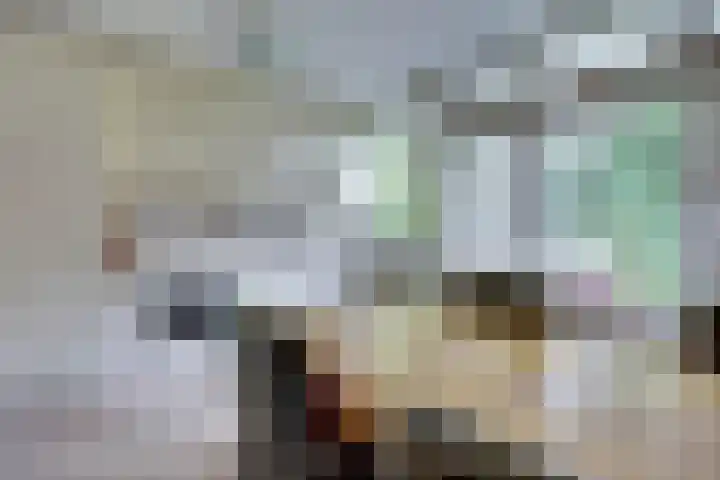 Johann Sebastian Bachstraat 5 Ridderkerk thumbnail 20