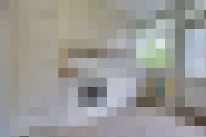 Johann Sebastian Bachstraat 5 Ridderkerk thumbnail 21