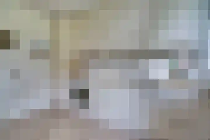 Johann Sebastian Bachstraat 5 Ridderkerk thumbnail 22