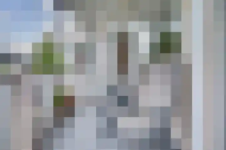Johann Sebastian Bachstraat 5 Ridderkerk thumbnail 24