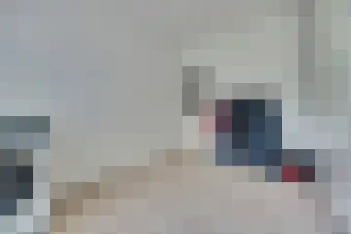 Johann Sebastian Bachstraat 5 Ridderkerk thumbnail 31