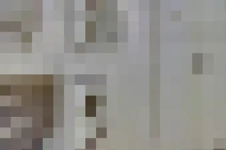 Johann Sebastian Bachstraat 5 Ridderkerk thumbnail 35