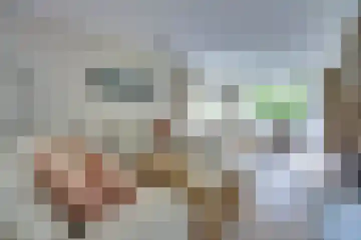 Johann Sebastian Bachstraat 5 Ridderkerk thumbnail 8