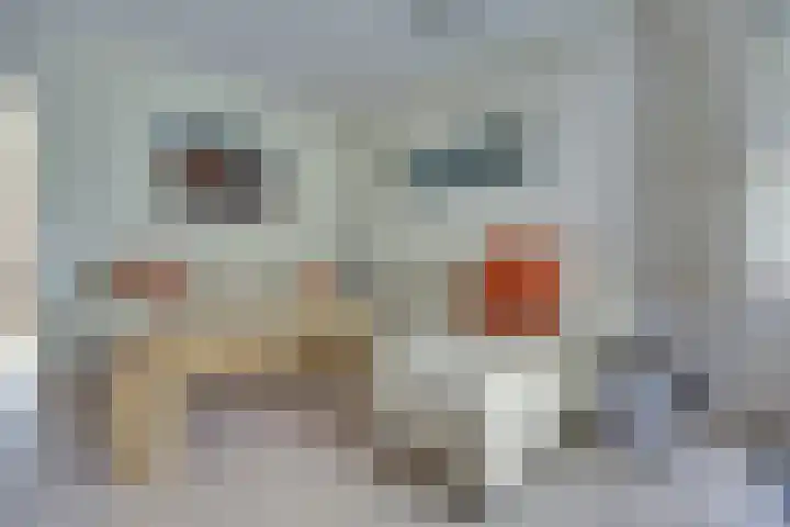 Johann Sebastian Bachstraat 5 Ridderkerk thumbnail 9