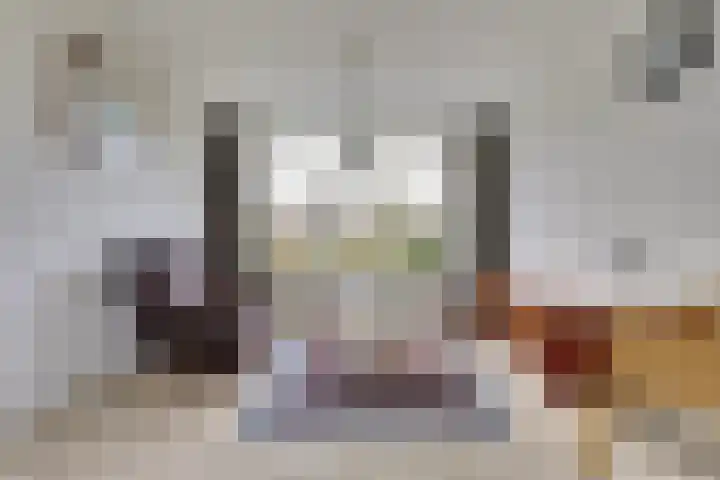 Johann Sebastian Bachstraat 50 Ridderkerk thumbnail 10