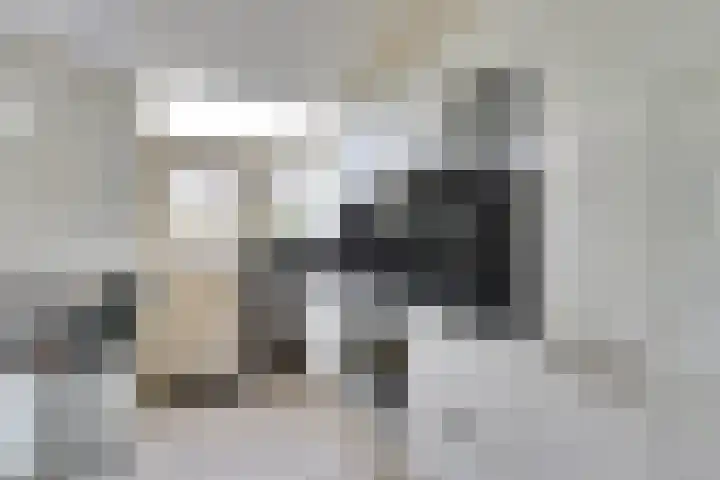 Johann Sebastian Bachstraat 50 Ridderkerk thumbnail 14