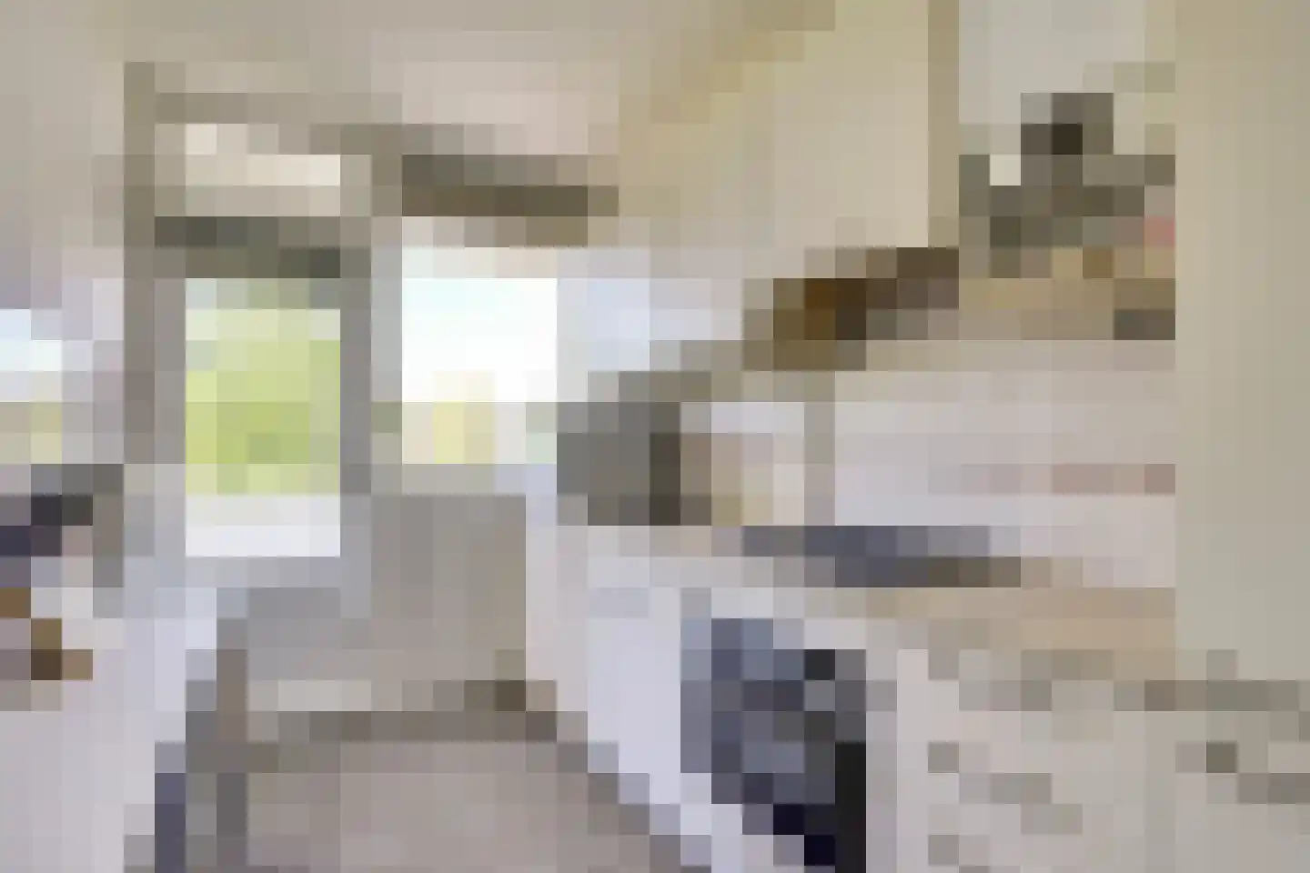 Johann Sebastian Bachstraat 53 Ridderkerk thumbnail 16