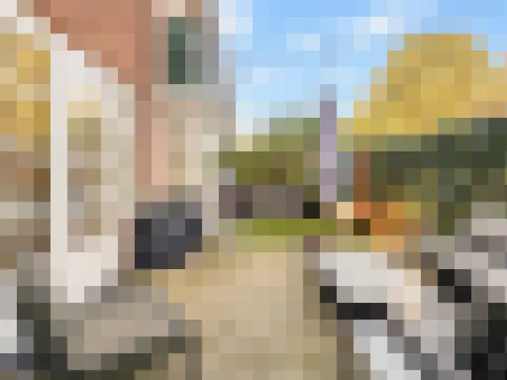 Johann Sebastian Bachstraat 62 Utrecht thumbnail 5
