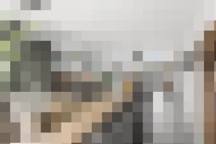 Johann Sebastian Bachstraat 8 Ridderkerk thumbnail 13