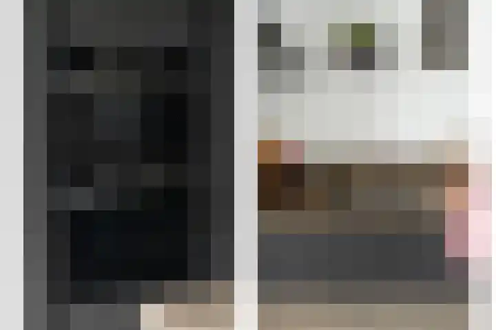 Johann Sebastian Bachstraat 8 Ridderkerk thumbnail 17