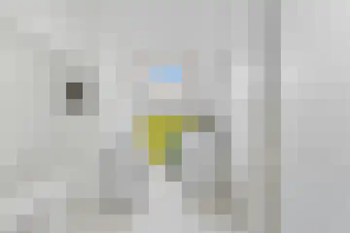 Johann Sebastian Bachstraat 8 Ridderkerk thumbnail 33