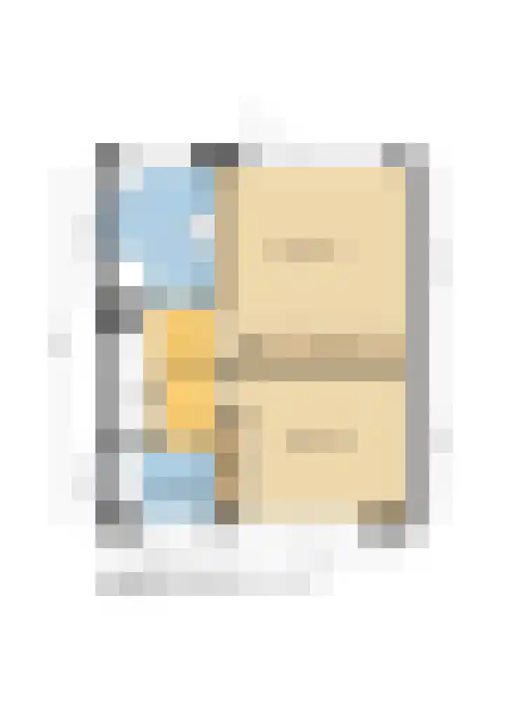 Johann Sebastian Bachstraat 8 Ridderkerk thumbnail 43