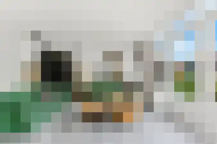 Johann Sebastian Bachstraat 8 Ridderkerk thumbnail 5