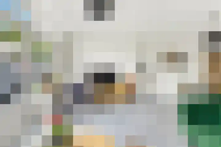 Johann Sebastian Bachstraat 8 Ridderkerk thumbnail 6