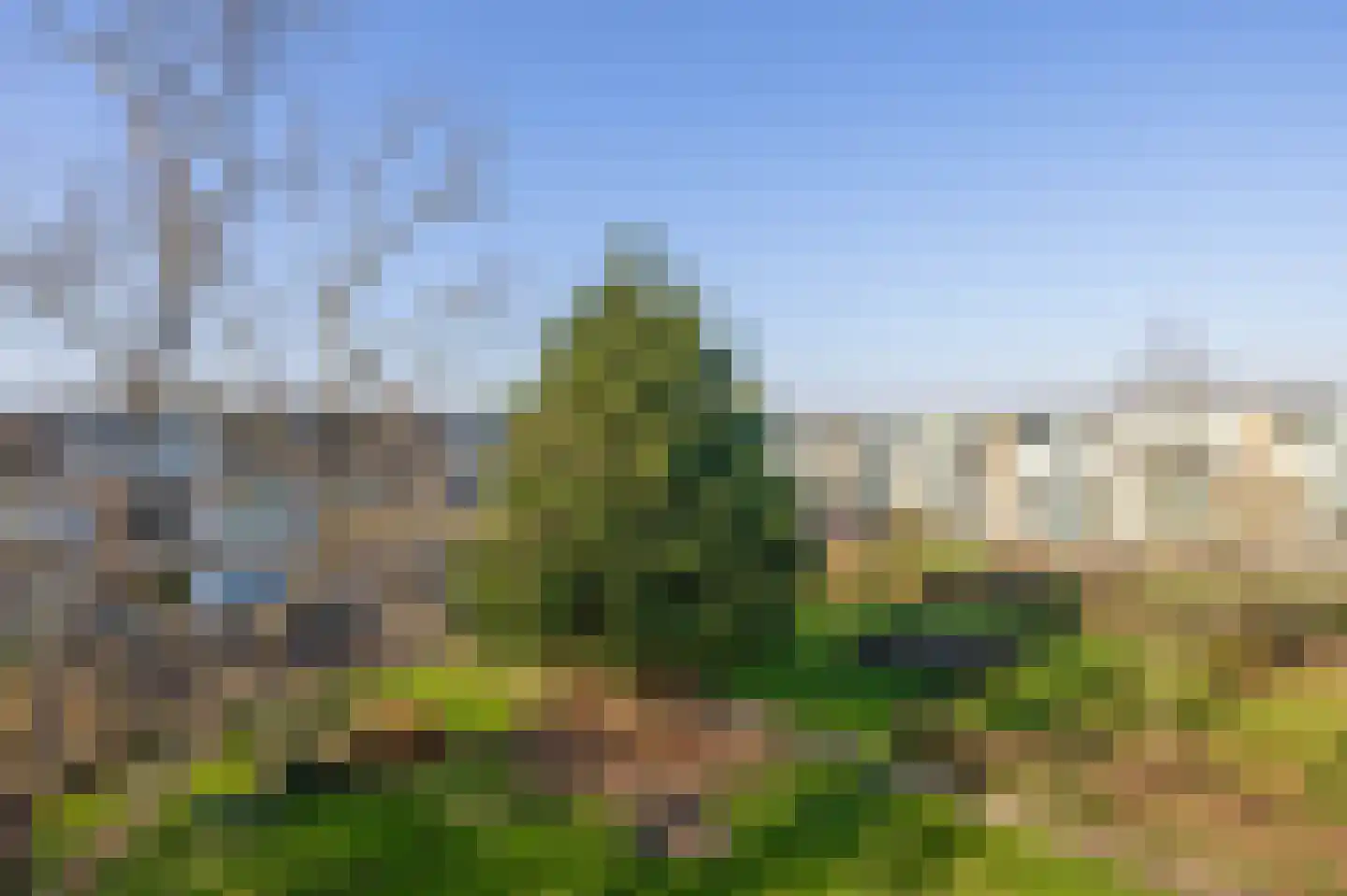 Johann Sebastian Bachstraat 9 Ridderkerk thumbnail 17