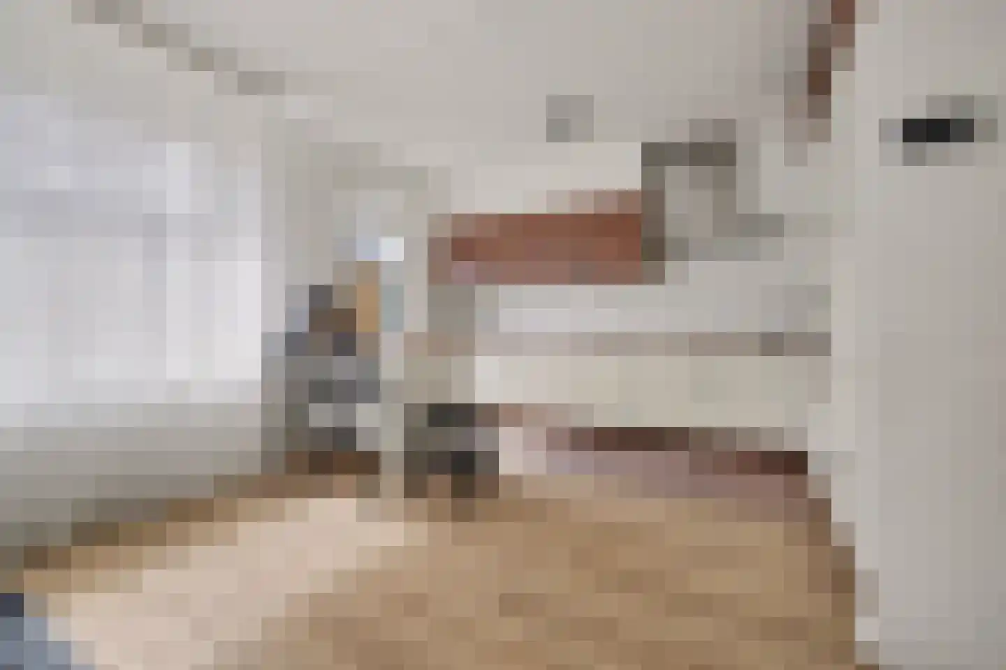 Johann Straussstraat 11 Waalwijk thumbnail 12