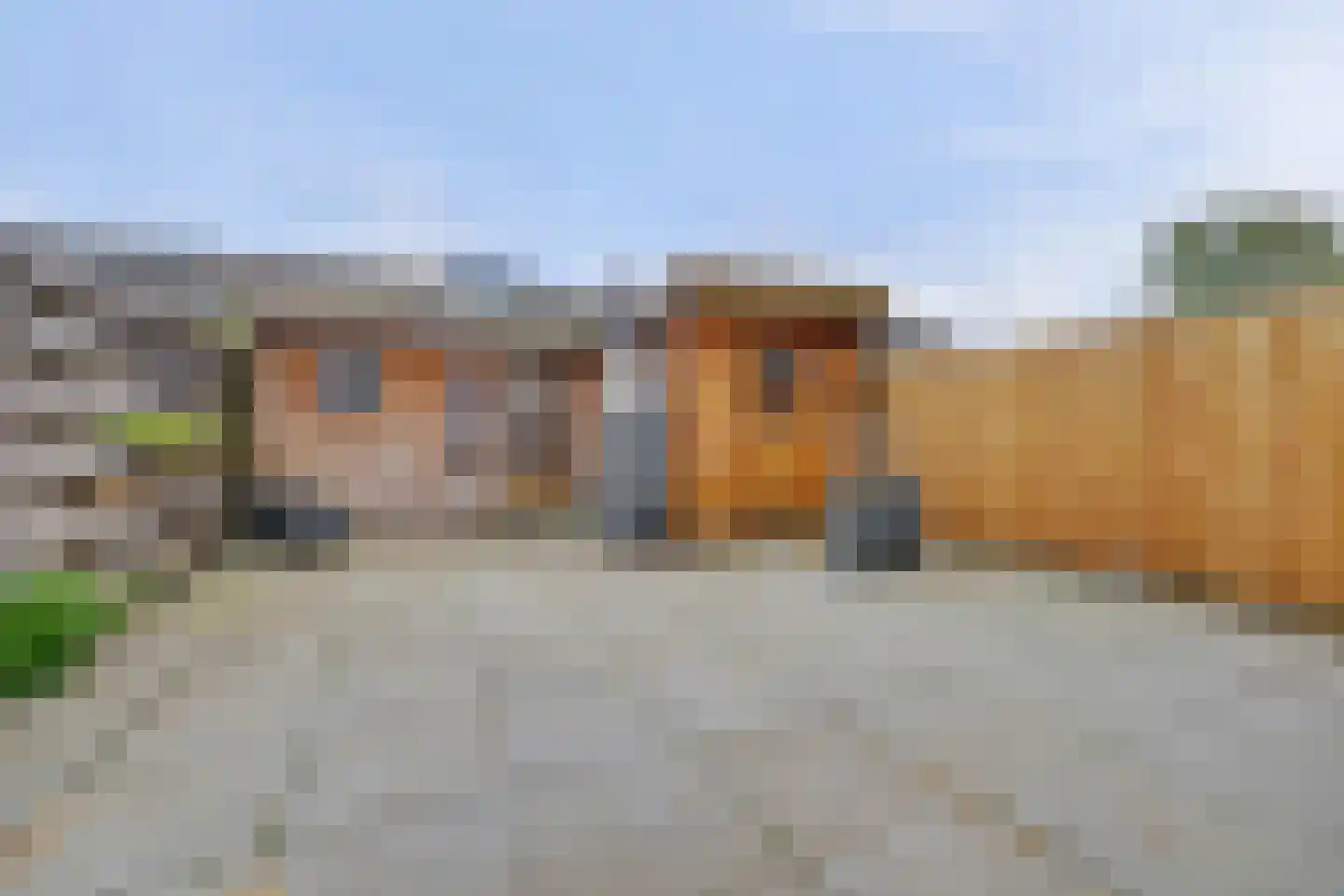 Johann Straussstraat 11 Waalwijk thumbnail 31