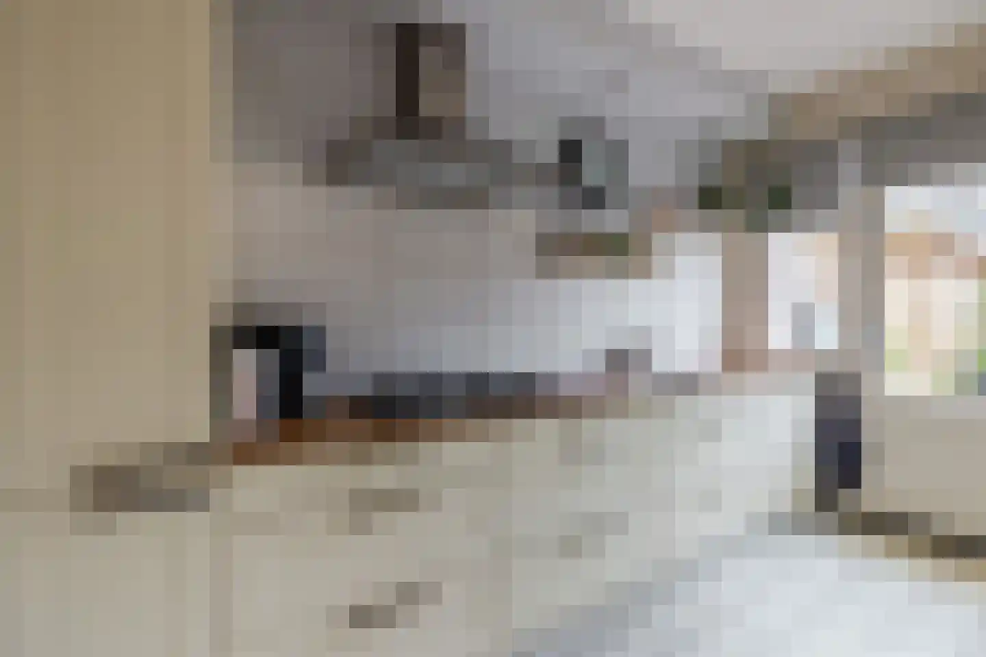 Johann Straussstraat 13 Waalwijk thumbnail 13