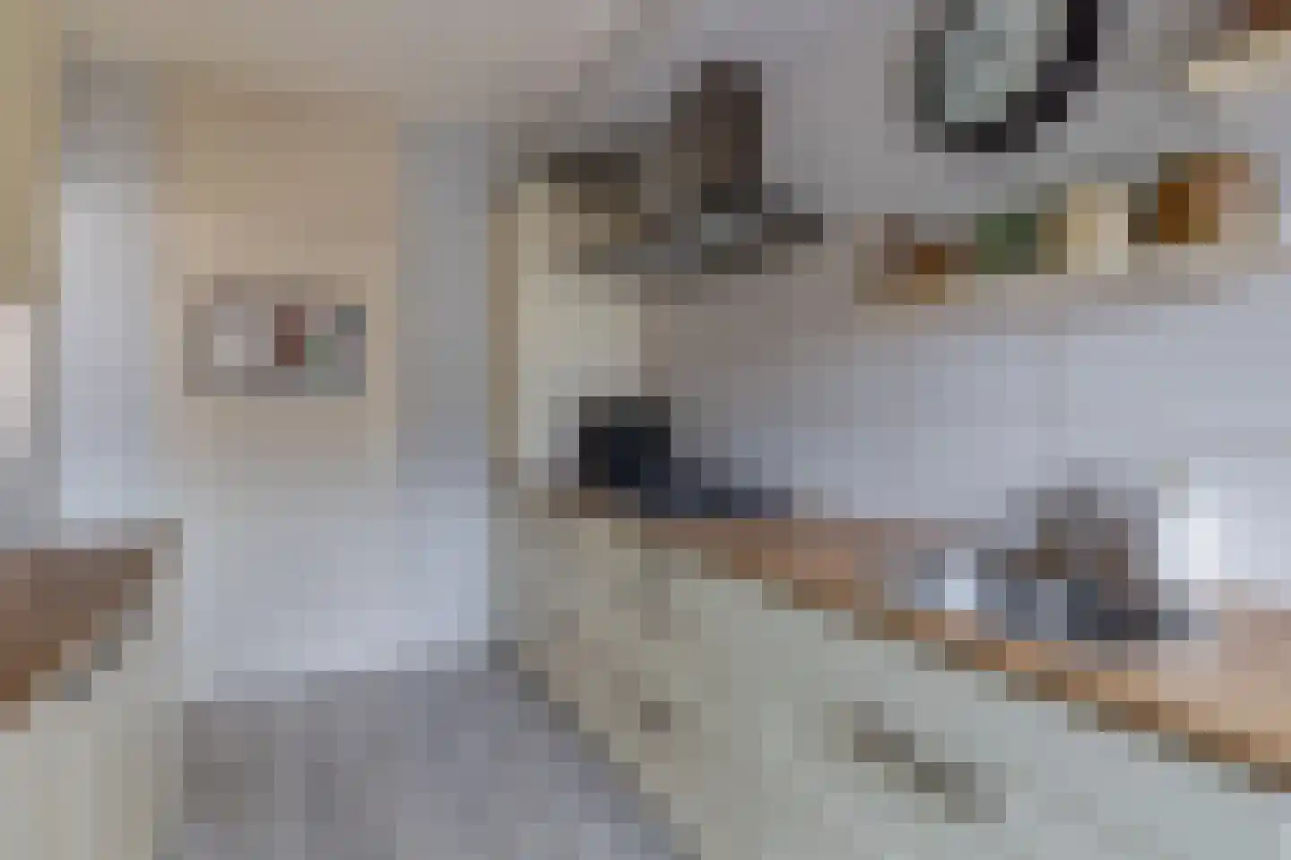 Johann Straussstraat 13 Waalwijk thumbnail 15