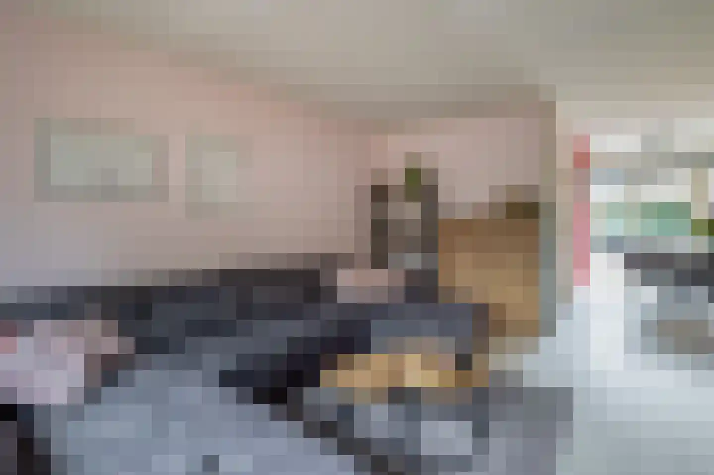 Johann Straussstraat 13 Waalwijk thumbnail 4