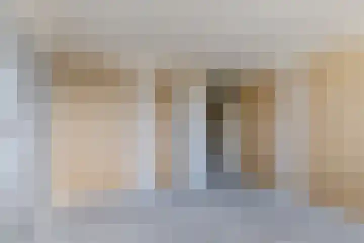 Johann Straussstraat 18 Waalwijk thumbnail 14