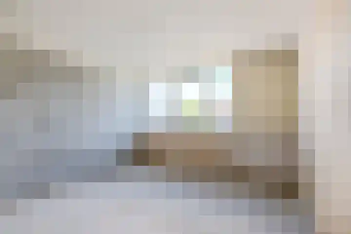 Johann Straussstraat 18 Waalwijk thumbnail 15