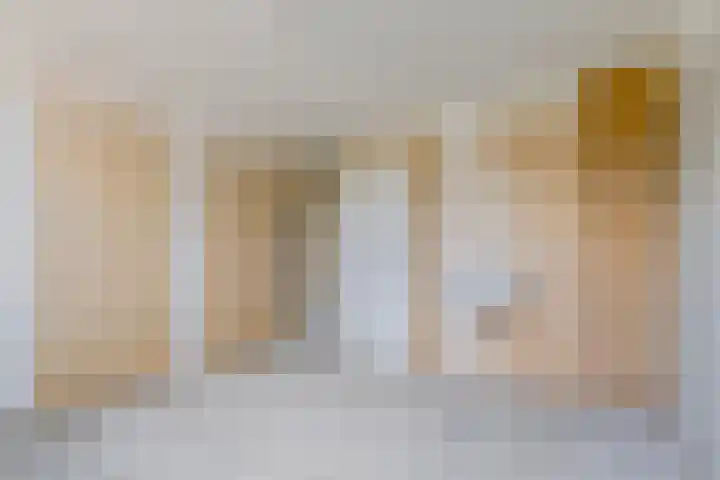 Johann Straussstraat 18 Waalwijk thumbnail 16