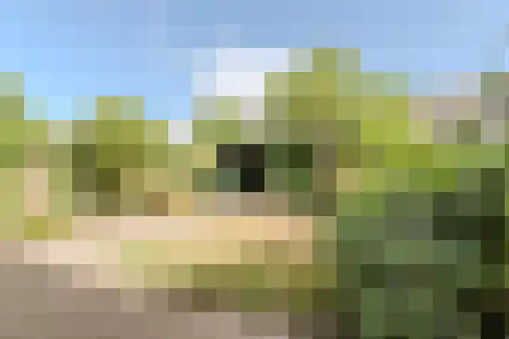 Johann Straussstraat 18 Waalwijk thumbnail 24