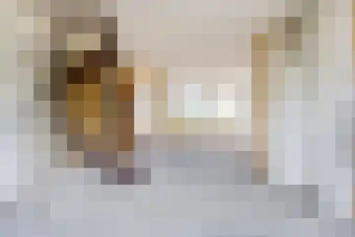 Johann Straussstraat 18 Waalwijk thumbnail 4