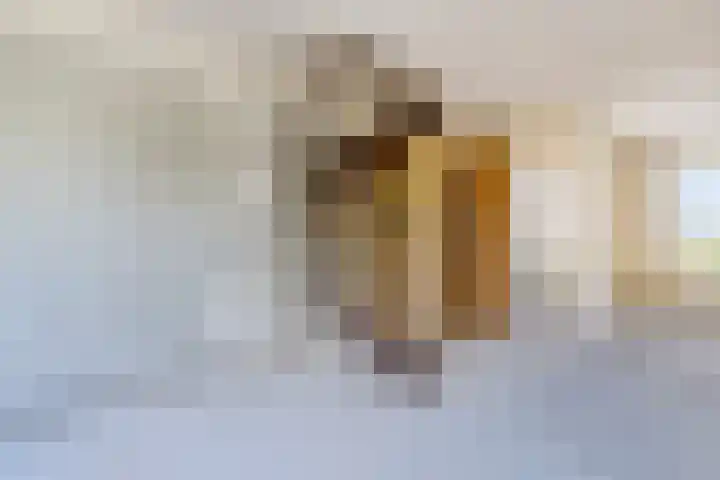 Johann Straussstraat 18 Waalwijk thumbnail 5