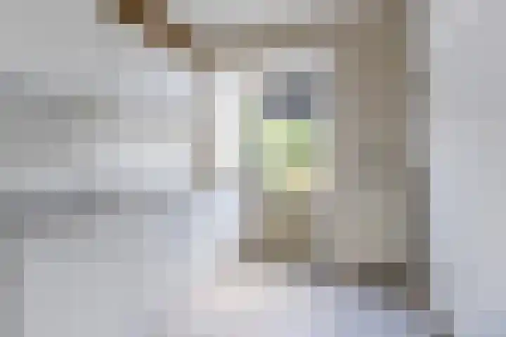 Johann Straussstraat 18 Waalwijk thumbnail 7