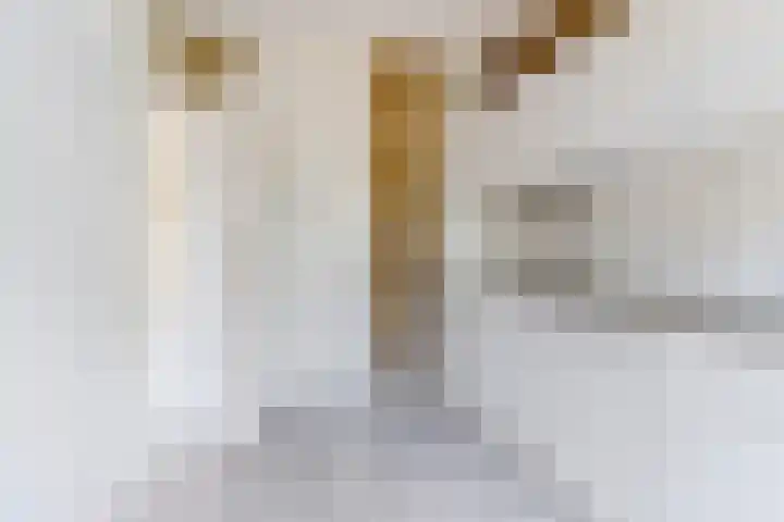 Johann Straussstraat 18 Waalwijk thumbnail 8