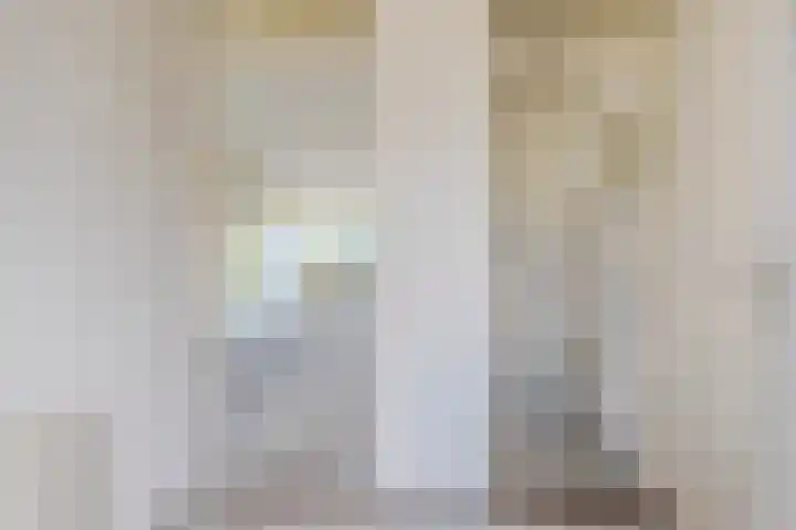 Johann Straussstraat 18 Waalwijk thumbnail 9