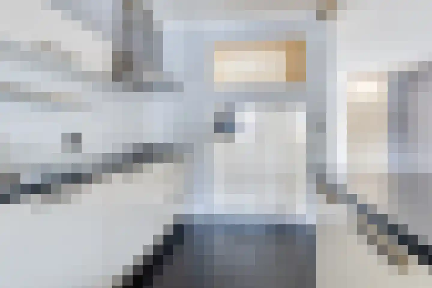 Johann Straussstraat 19 Waalwijk thumbnail 11