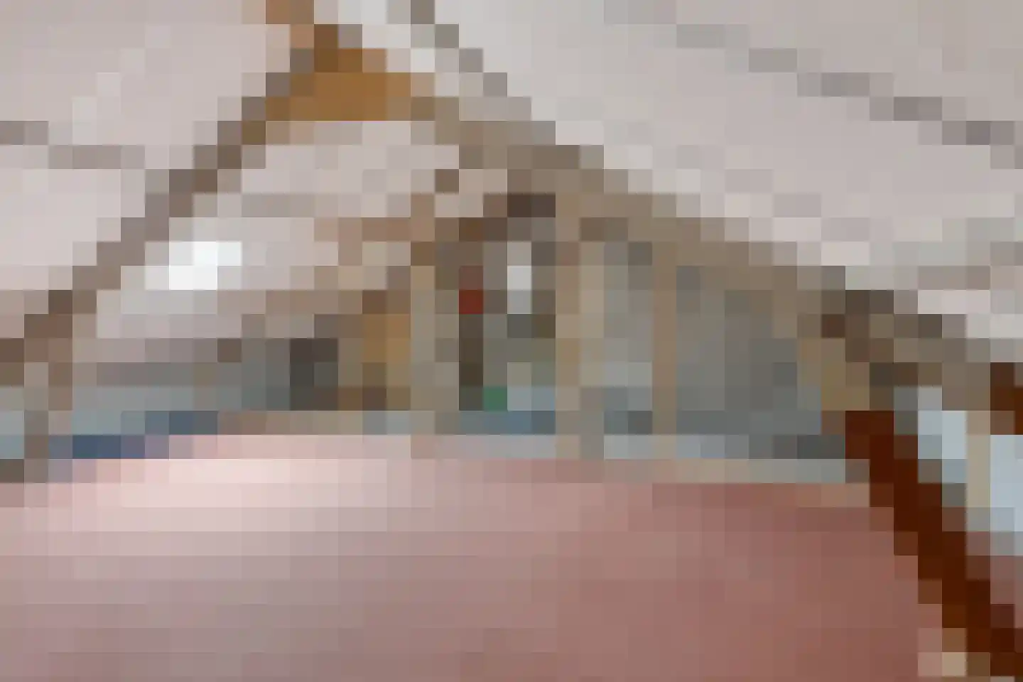 Johann Straussstraat 19 Waalwijk thumbnail 20